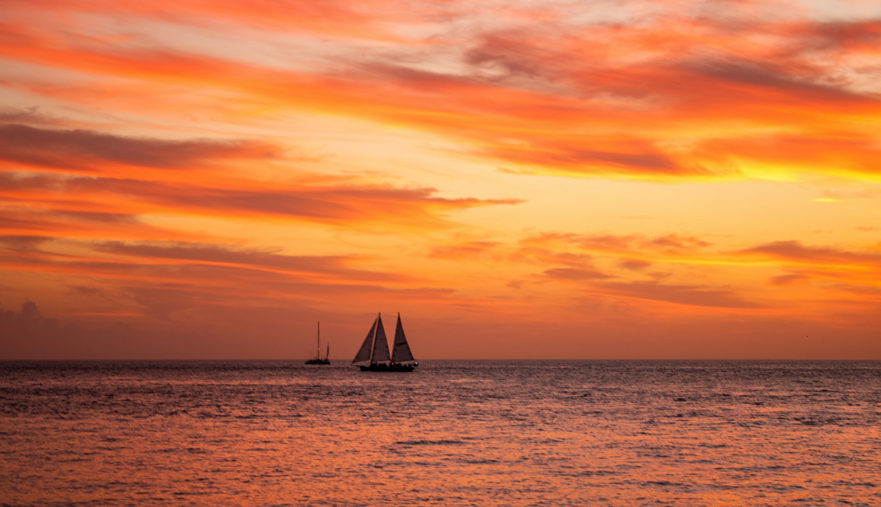 Sailboats crossing the Atlantic at sunset in Key West